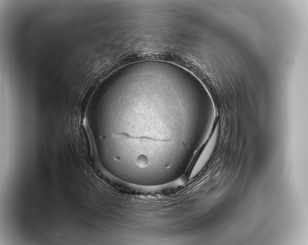 X0000096641348200802051119