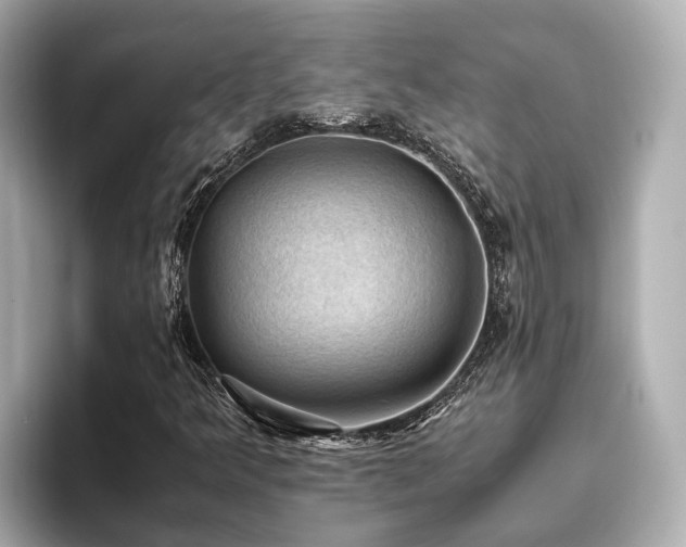 X0000096641349200802051119