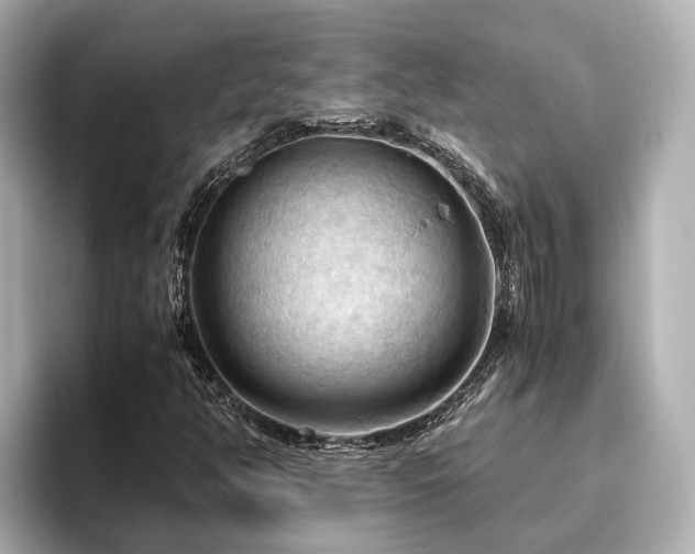 X0000096641350200802051119
