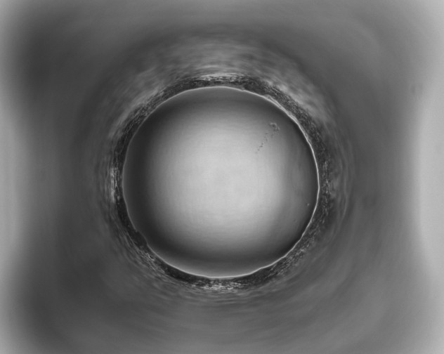 X0000096641351200802051119