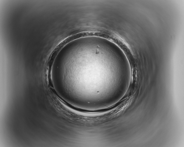X0000096641352200802051119
