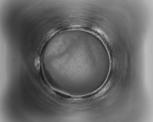 X0000096641353200802051119