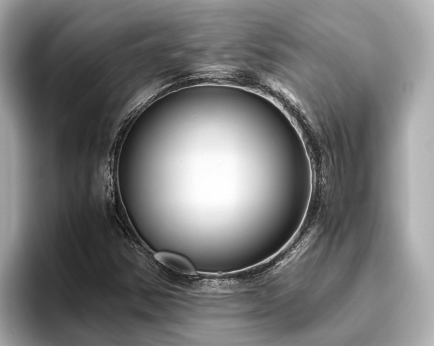 X0000096641354200802051119