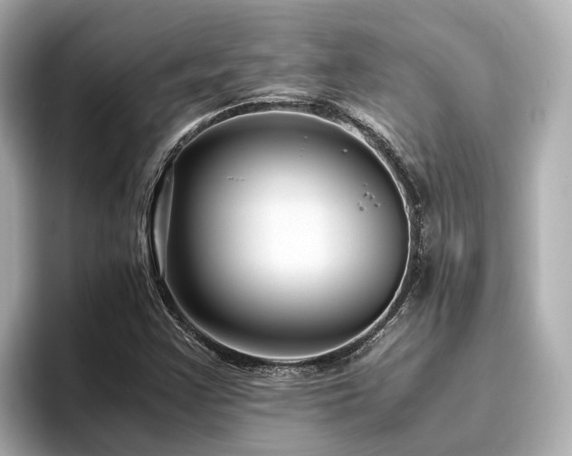 X0000096641355200802051119