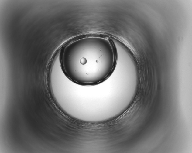 X0000096641356200802051119