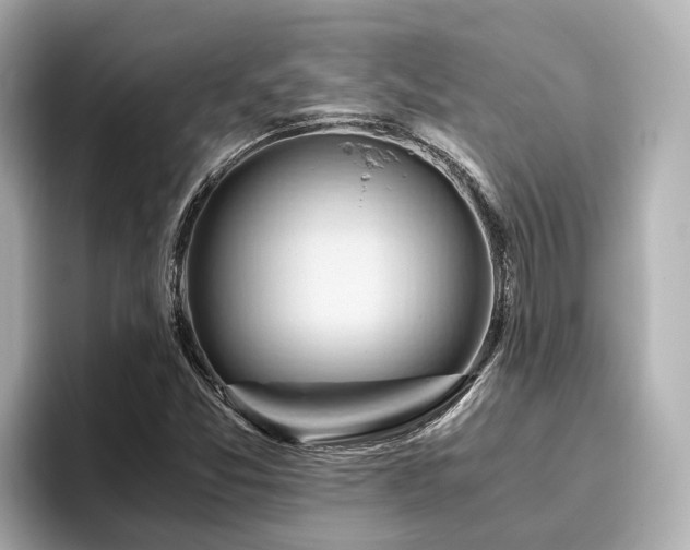 X0000096641357200802051119