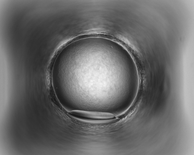 X0000096641358200802051119