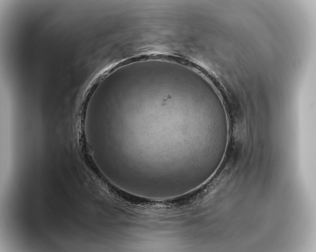 X0000096641359200802051119