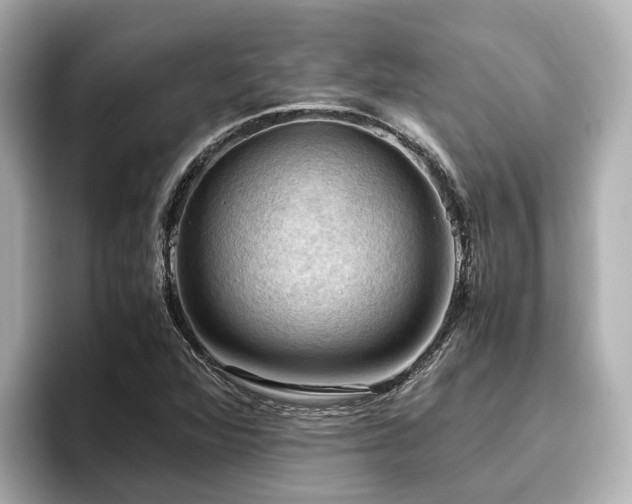 X0000096641360200802051119