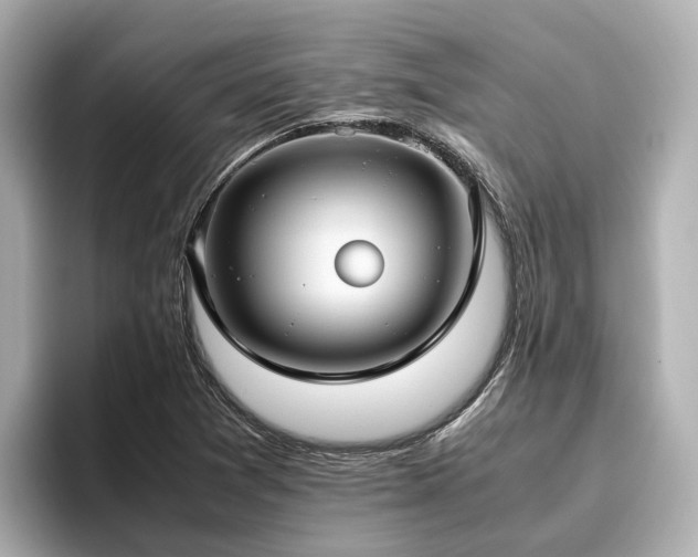 X0000096641361200802051119