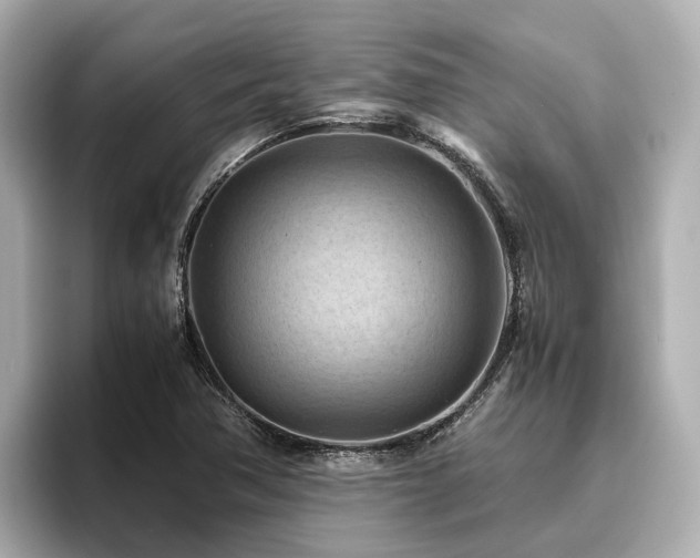 X0000096641362200802051119