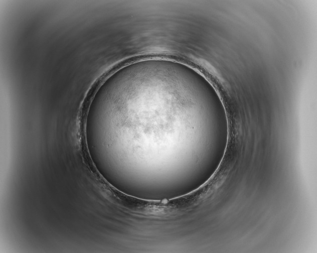 X0000096641364200802051119