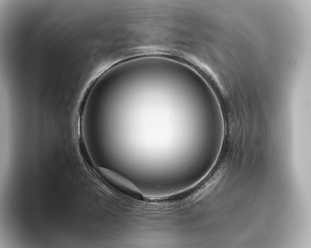 X0000096641365200802051119