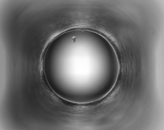 X0000096641366200802051119