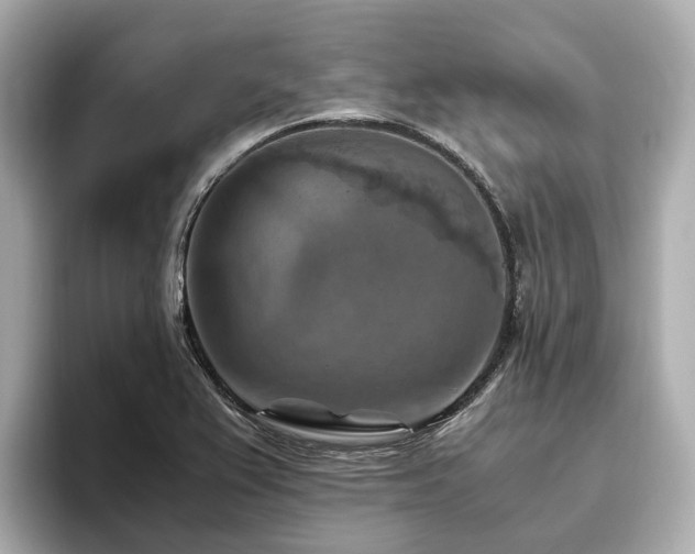 X0000096641367200802051119