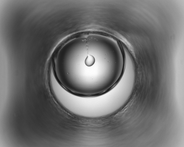 X0000096641368200802051119