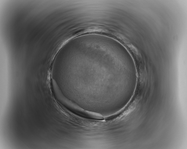 X0000096641369200802051119