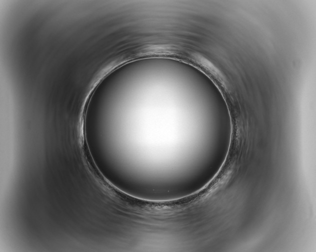 X0000096641370200802051119