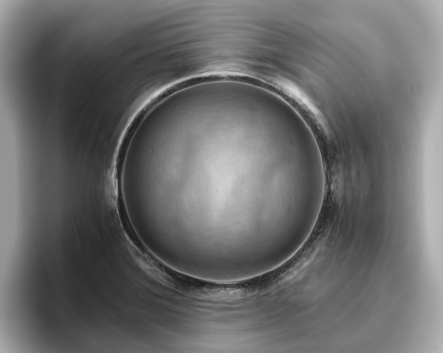 X0000096641372200802051119