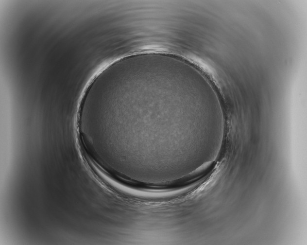 X0000096641373200802051119