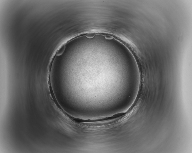 X0000096641374200802051119