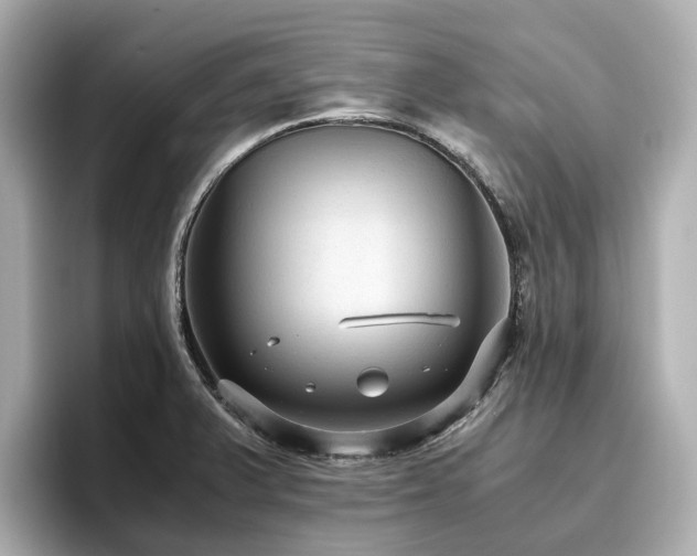 X0000096641375200802051119