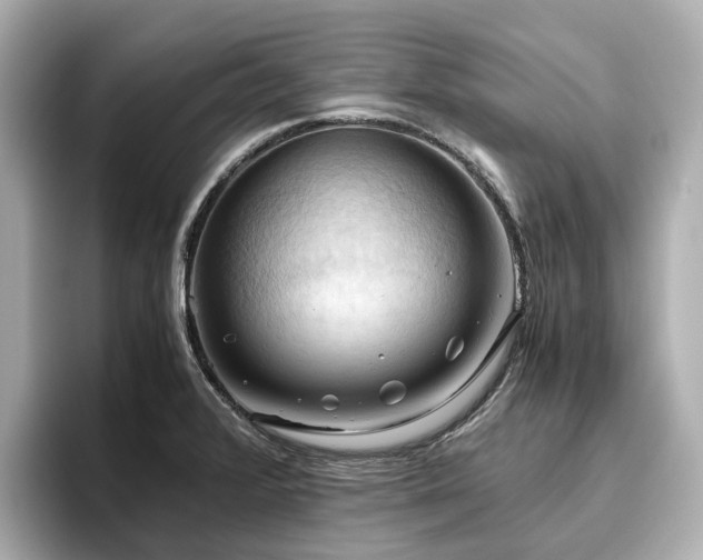 X0000096641376200802051119