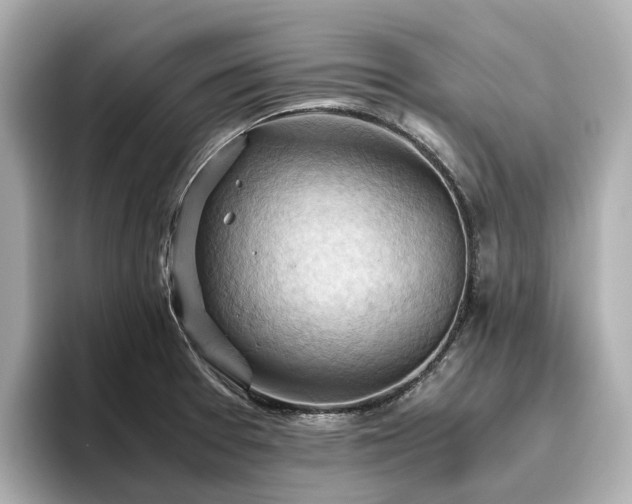 X0000096641377200802051119