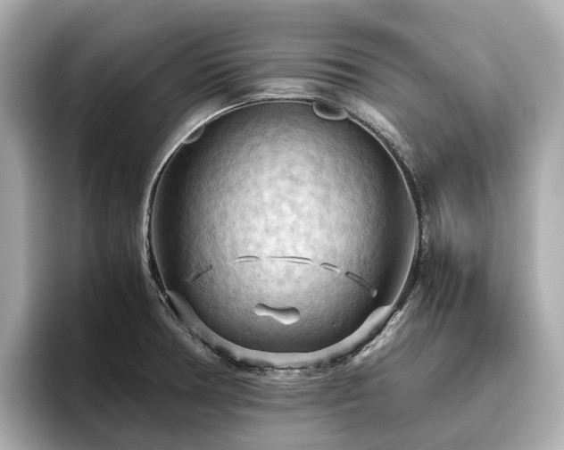 X0000096641378200802051119