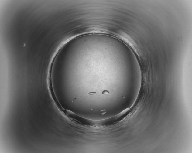 X0000096641379200802051119