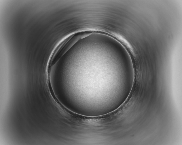 X0000096641380200802051119