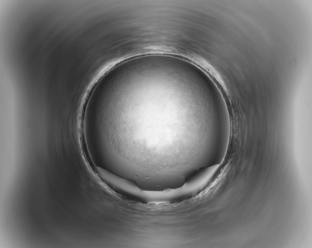 X0000096641381200802051119