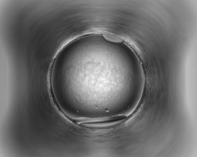 X0000096641382200802051119