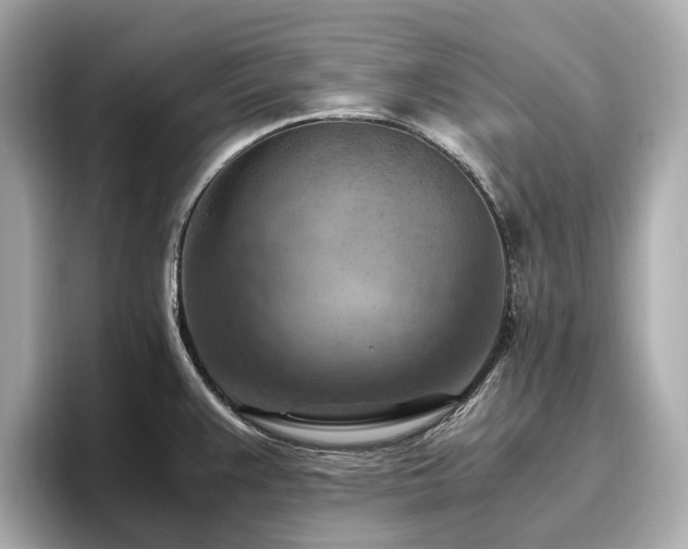 X0000096641383200802051119