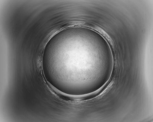 X0000096641385200802051119