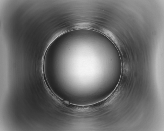 X0000096641386200802051119