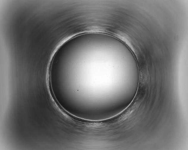 X0000096641387200802051119