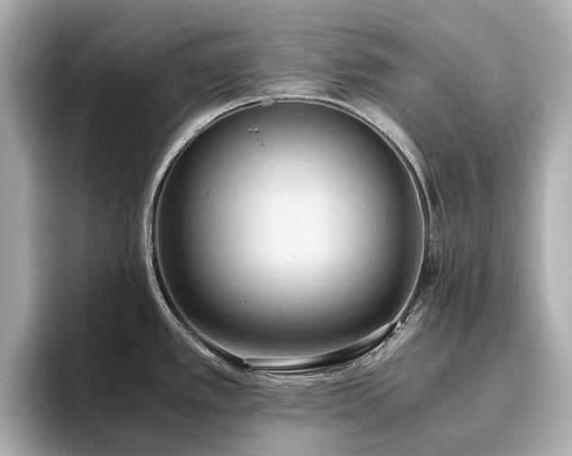 X0000096641389200802051119