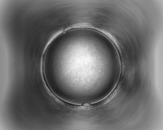X0000096641390200802051119