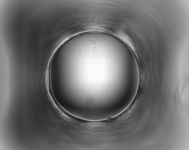 X0000096641391200802051119
