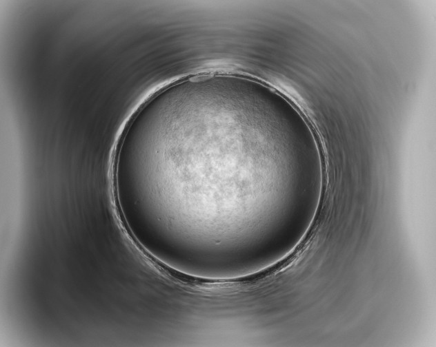 X0000096641392200802051119