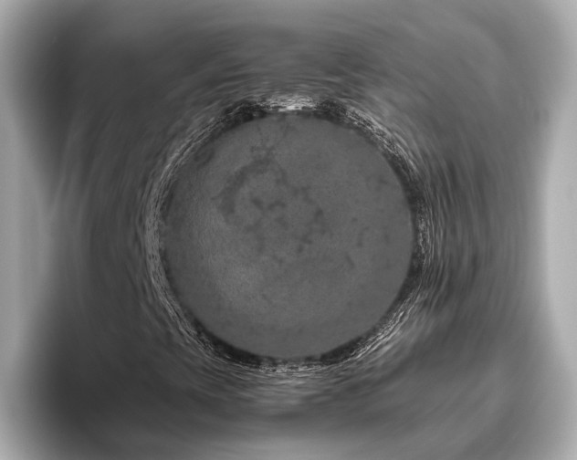 X0000096641393200802051118