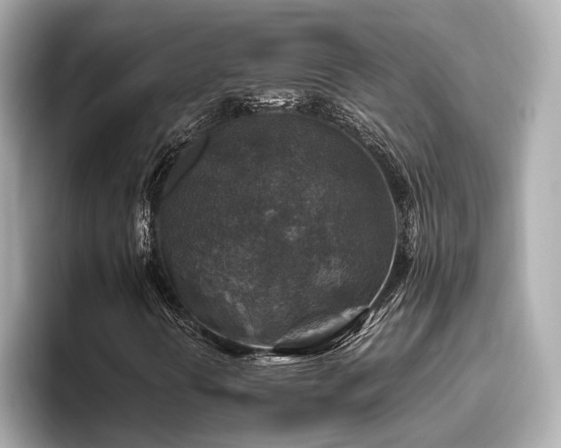 X0000096641394200802051118