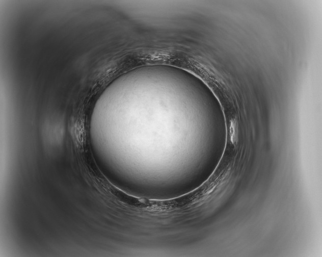 X0000096641395200802051118