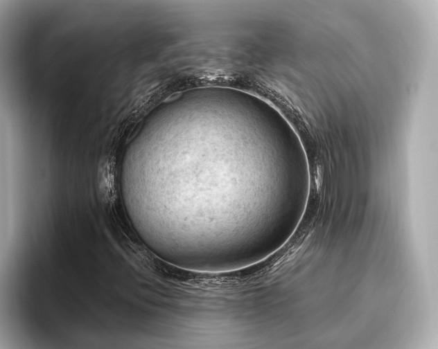 X0000096641396200802051118