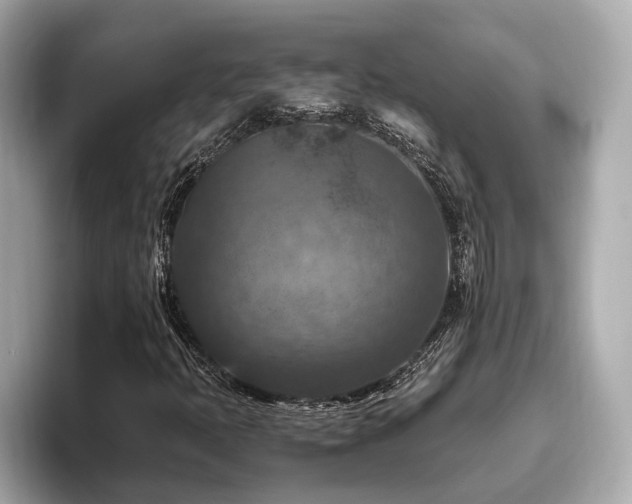 X0000096641397200802051118