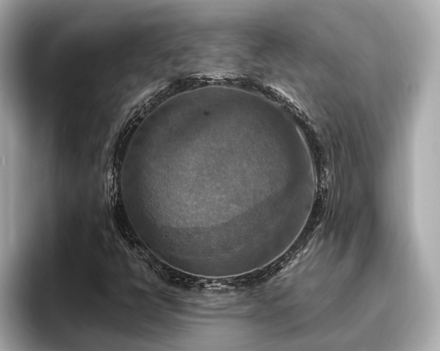 X0000096641398200802051118