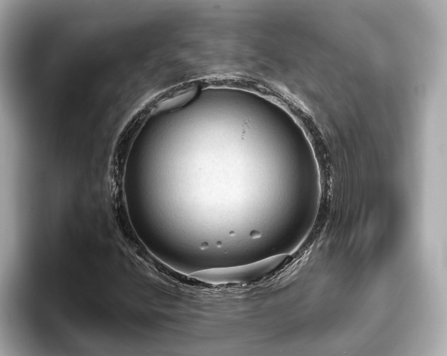 X0000096641400200802051118