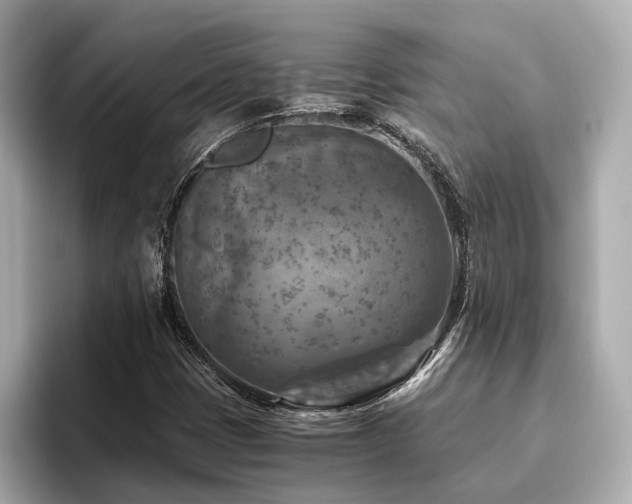 X0000096641401200802051118