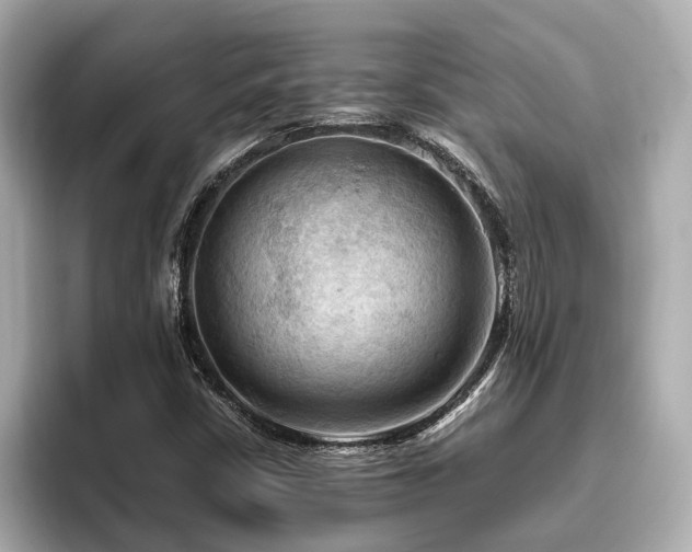 X0000096641402200802051118